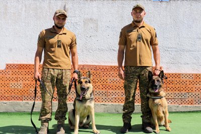 У Миколаївському полку НГУ служить собака Джон У Миколаївському полку НГУ служить собака Джон