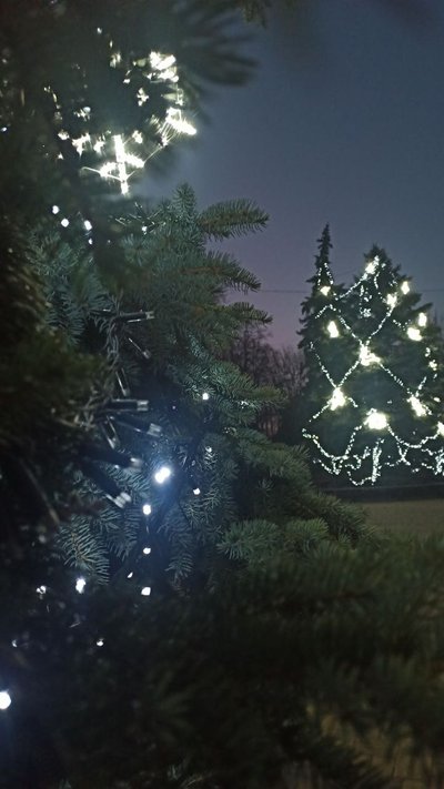 У Добропіллі прикрасили ялинки біля входу у парк. Фото: Telegram / Добропільська міська рада