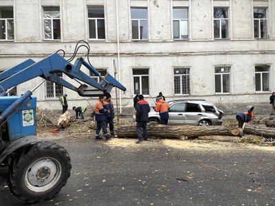 У Полтаві через негоду на автомобіль впало дерево У Полтаві через негоду на автомобіль впало дерево