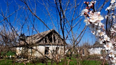 Селище Зелений Гай Комарська громада Донецька область 4 квітня 2025 рік Селище Зелений Гай Комарська громада Донецька область 4 квітня 2025 рік