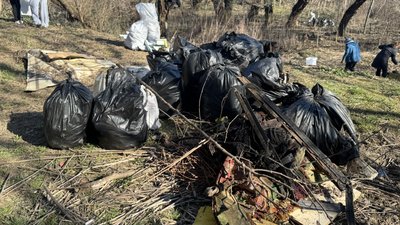 "Щоб було гарно, щоб було прибрано": толоки на двох локаціях провели в Ужгороді "Щоб було гарно, щоб було прибрано": толоки на двох локаціях провели в Ужгороді
