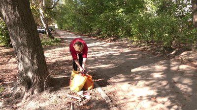 «Хотілось би, щоб вони дорожчі були»: у Рівному розпочали збір каштанів