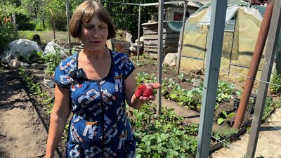 Американський кактус зимує просто неба. Подружжя з Біленького 30 років вирощує квіти й овочі попри війну Американський кактус зимує просто неба. Подружжя з Біленького 30 років вирощує квіти й овочі попри війну