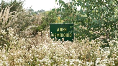 «Водна арена Тернопіль», руйнується і заростає бур'янами, Тернопіль, спорткомплекс, 21 серпня 2026 року «Водна арена Тернопіль», руйнується і заростає бур'янами, Тернопіль, спорткомплекс, 21 серпня 2026 року