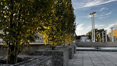 дерева хнатоб дерева хнатоб