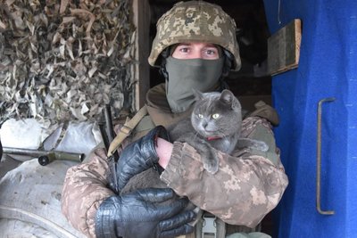 Воюють разом з нами: воїни 30 бригади з Житомирщини показали своїх фронтових тварин Воюють разом з нами: воїни 30 бригади з Житомирщини показали своїх фронтових тварин