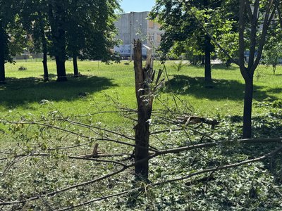 "Так швидко все відбулося - жах". Мешканці Сум про наслідки влучань БПЛА "Так швидко все відбулося - жах". Мешканці Сум про наслідки влучань БПЛА