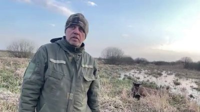 олень Борис стан Христюк олень Борис стан Христюк