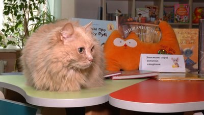 У Хмельницькому живе кішка-бібліотекарка