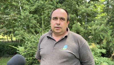 "В лісі не можна брати сухостій". Яку деревину можна збирати на Сумщині "В лісі не можна брати сухостій". Яку деревину можна збирати на Сумщині