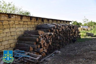 У нацпарку на Одещині незаконно зрубали понад 500 дерев