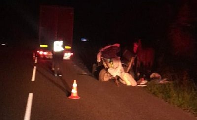 На Львівщині зіткнулися вантажівка та підвода: є травмований На Львівщині зіткнулися вантажівка та підвода: є травмований