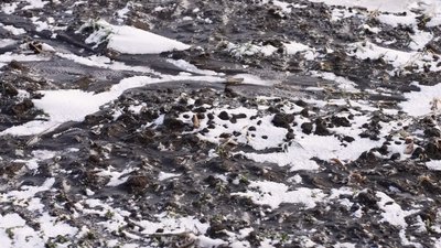 Озимі під льодом: як зберегти врожай під час промерзання ґрунту на Кіровоградщині Озимі під льодом: як зберегти врожай під час промерзання ґрунту на Кіровоградщині