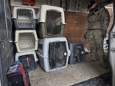 "Мотивація – врятувати життя". Харківські волонтери евакуювали з Миропілля на Сумщині ферму "Мотивація – врятувати життя". Харківські волонтери евакуювали з Миропілля на Сумщині ферму