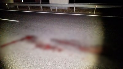 Смертельна ДТП на трасі Київ – Чернігів: водій Opel збив пішохода