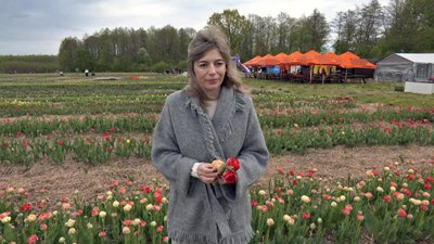 "Екзотичний імператор та принцеса Сіссі": на Волині стартував фестиваль тюльпанів "Екзотичний імператор та принцеса Сіссі": на Волині стартував фестиваль тюльпанів