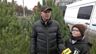 У Луцьку запрацювали ялинкові ярмарки. Скільки коштують хвойні дерева до свят