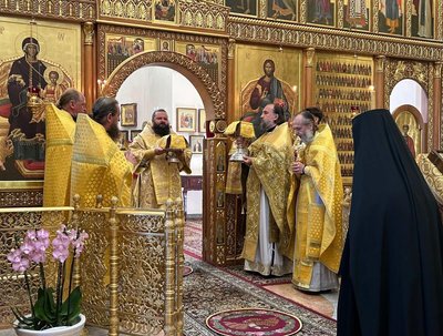 обшуки в керівника обшуки в керівника