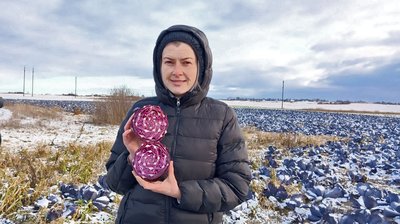 "Це нетипово для Волині": вперше серед зими на полях збирають урожай капусти "Це нетипово для Волині": вперше серед зими на полях збирають урожай капусти