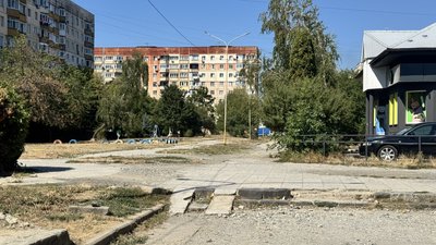 Ремонт алеї Андрія Палая в Ужгороді: чи вирубають 100 дерев Ремонт алеї Андрія Палая в Ужгороді: чи вирубають 100 дерев
