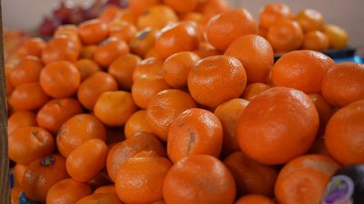Ціна зросла на 40%: яка вартість мандаринів на вінницьких ринках Ціна зросла на 40%: яка вартість мандаринів на вінницьких ринках