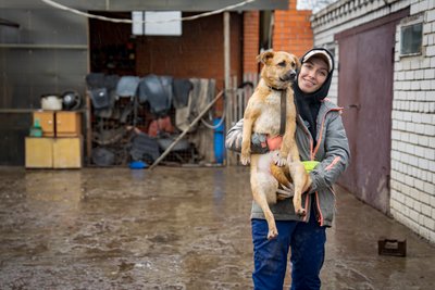 Евакуація пітбулів та кане корсо: зооволонтерка з Дніпра рятує собак та надає їм прихисток Евакуація пітбулів та кане корсо: зооволонтерка з Дніпра рятує собак та надає їм прихисток