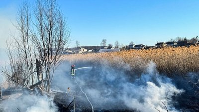На Черкащині протягом доби 12 разів горів сухостій На Черкащині протягом доби 12 разів горів сухостій