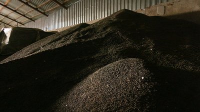 Урожай є, прибутку немає: чому аграрії Чернігівщини змушені скорочувати посіви