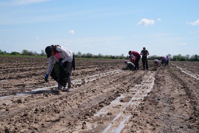 Як відновлюють зрошення на Херсонщині: майже чотири тисячі гектарів знову з водою Як відновлюють зрошення на Херсонщині: майже чотири тисячі гектарів знову з водою