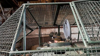 Валерій військовослужбовець 81 ОАЕМБр Донецька область Валерій військовослужбовець 81 ОАЕМБр Донецька область