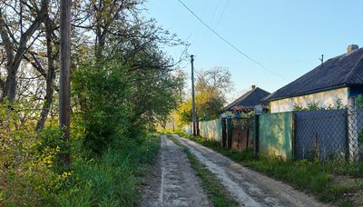 “Село, яке не хоче помирати”: як живуть у Шишківцях на Буковині, де залишилося пів сотні людей “Село, яке не хоче помирати”: як живуть у Шишківцях на Буковині, де залишилося пів сотні людей