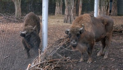 Довгоочікувані зустрічі і незламні люди — 2024 рік на Черкащині у світлинах Суспільного Довгоочікувані зустрічі і незламні люди — 2024 рік на Черкащині у світлинах Суспільного