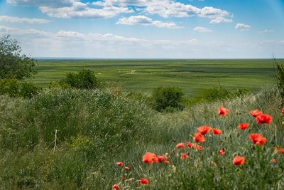 "Природа розвивається так, як було мільйони років тому". Що на місці Каховського водосховища за рік після підриву ГЕС "Природа розвивається так, як було мільйони років тому". Що на місці Каховського водосховища за рік після підриву ГЕС