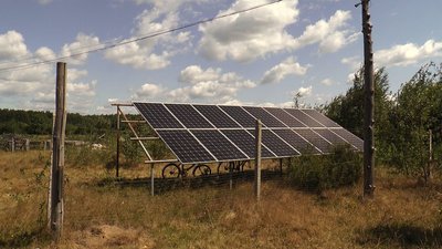 Через погоду ягоди дрібніші. Як подружжя з Івано-Франківщини вирощує лохину Через погоду ягоди дрібніші. Як подружжя з Івано-Франківщини вирощує лохину