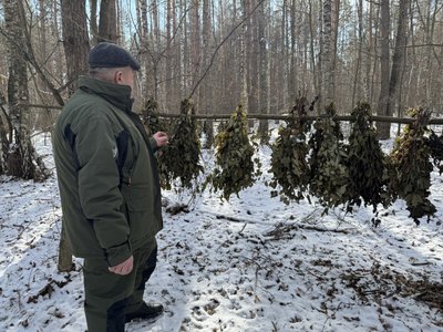 На Полтавщині лісівники підгодовують диких тварин: чим і кого годують На Полтавщині лісівники підгодовують диких тварин: чим і кого годують