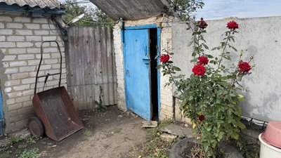 Троянди на подвір'ї Людмили Хрестище Донецька область 8 жовтня 2025 рік Троянди на подвір'ї Людмили Хрестище Донецька область 8 жовтня 2025 рік