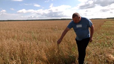 Третина земель не розмінована, поголів'я корів скоротили: як працюють фермери на прикордонні Чернігівщини Третина земель не розмінована, поголів'я корів скоротили: як працюють фермери на прикордонні Чернігівщини