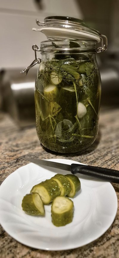Чому огірки гіркі і що з цим робити — пояснення черкаського науковця Чому огірки гіркі і що з цим робити — пояснення черкаського науковця
