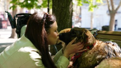 У Миколаєві на виставці-прилаштуванні дев’ять тварин знайшли нові домівки У Миколаєві на виставці-прилаштуванні дев’ять тварин знайшли нові домівки