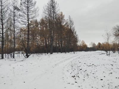 Наймасштабніша лісова пожежа на Полтавщині: що відновили жителі сіл, чиї будинки згоріли Наймасштабніша лісова пожежа на Полтавщині: що відновили жителі сіл, чиї будинки згоріли