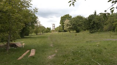 Табори для дітей: куди і за скільки можна відправити своїх дітей влітку Табори для дітей: куди і за скільки можна відправити своїх дітей влітку