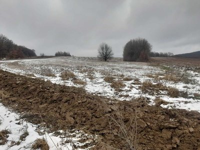 У Чернівцях на аукціоні планують продати або здати в оренду сім земельних ділянок: яка вартість та умови У Чернівцях на аукціоні планують продати або здати в оренду сім земельних ділянок: яка вартість та умови