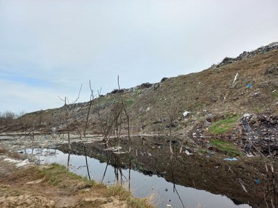 У Житомирі комунальне підприємство сплатило понад 837 тисяч гривень за шкоду довкіллю У Житомирі комунальне підприємство сплатило понад 837 тисяч гривень за шкоду довкіллю