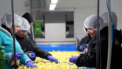 На Житомирщині підприємство з Херсонщини робить чищену вакуумовану картоплю — щомісяця переробляють 200 тонн На Житомирщині підприємство з Херсонщини робить чищену вакуумовану картоплю — щомісяця переробляють 200 тонн