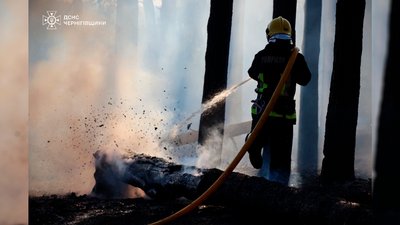 Пожежники гасять пожежу у лісі під Черніговом 27 травня 2024 року Пожежники гасять пожежу у лісі під Черніговом 27 травня 2024 року