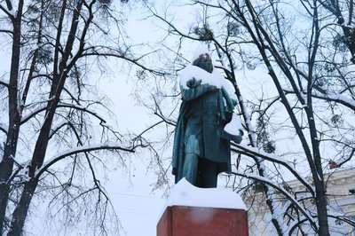 Пам'ятник, Адам Міцкевич, Івано-Франківськ, зима, сніг