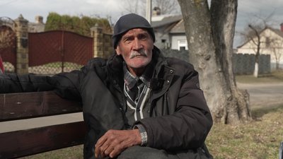 Чотири вівці вбили і ще дві — поранили: зграя псів напала на овець у парку "Оствиця" в Рівному Чотири вівці вбили і ще дві — поранили: зграя псів напала на овець у парку "Оствиця" в Рівному