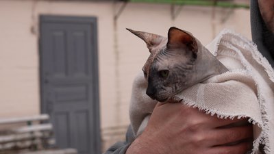 Евакуювали спочатку з-під обстрілів, а потім з затопленого притулку: як собака Оскар знайшов родину і новий дім Евакуювали спочатку з-під обстрілів, а потім з затопленого притулку: як собака Оскар знайшов родину і новий дім