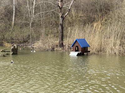 Дендропарк у Полтаві: скільки грошей спрямували на його утримання 2024-го