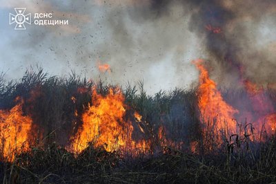 В Одесі рятувальники понад шість годин гасили пожежу на полях зрошення В Одесі рятувальники понад шість годин гасили пожежу на полях зрошення